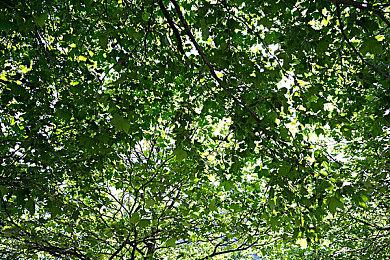 数毛社：《最终幻想7：重生》性能表现略低于前作间章