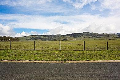 美国一经销商 在90年代倒闭商店内发现大量稀有游戏卡带